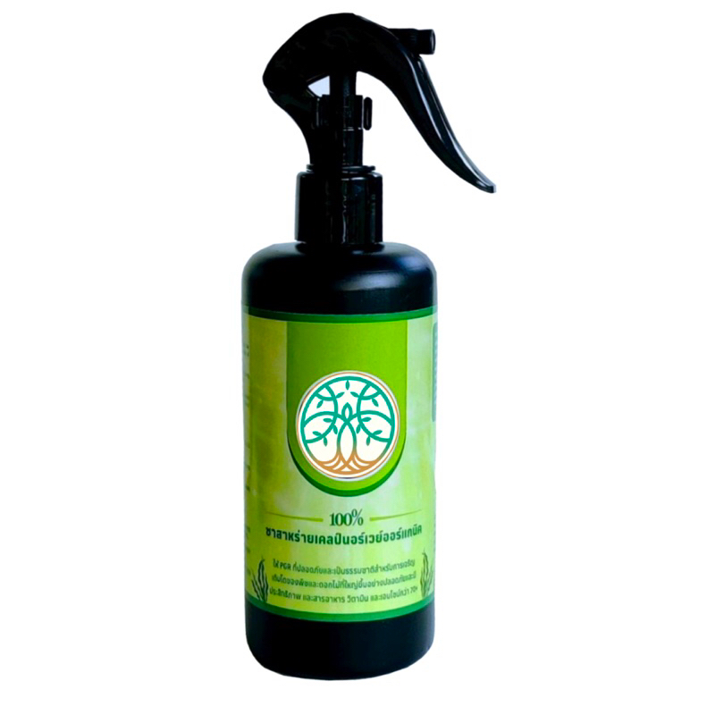 Kelp Tea Foliar Spray Fertilizer 100% Organic น้ำหมักสาหร่ายทะเล 300ml  สกัดเย็นมีประโยชน์สูงสุด พ่นทางใบ ต้นไม้ทุกชนิด ราคา ถูกที่สุด ดีลบีเคเค