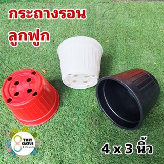 กระถาง รอน 4 นิ้ว // กด 12 ใบ 60 บาท -- กระถาง 4 นิ้ว รอน ลูกฟูก -- กระถางพลาสติก แคคตัส กระบองเพชร