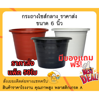 (แพ็ค50ใบ) กระถางต้นไม้พลาสติก 6 นิ้ว (ราคาส่ง) กระถางแคคตัส กระถางพลาสติก กระถางดอกไม้ กระถางปลูกผัก กระถางต้นไม้