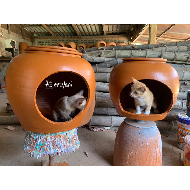 โอ่งแมว ขนาด16นิ้ว วัดตอนเผาสุก💢ฟรีฝาปิดถาดน้ำแข็ง💢อ่านรายละเอียดก่อนกดสั่งนะคะ - รูปที่ 3