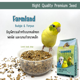 ธัญพืชรวมสำหรับนก FARMLAND ธัญพืชรวม 9-13 ชนิด สำหรับนกแก้วปากขอขนาดเล็ก-กลาง อาหารนก ฟอพัส ค็อกคาเทล คอนัวร์