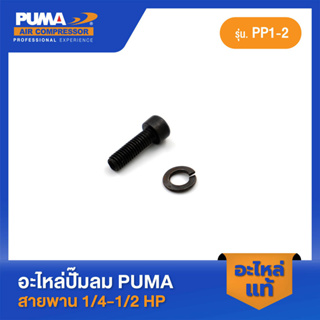 PUMA น็อตยึดฝาสูบ+แหวนสปริง PUMA 1/4-1/2 HP PP1-PP2 อะไหล่ปั๊มลมสายพาน รุ่น PP-1,PP-2