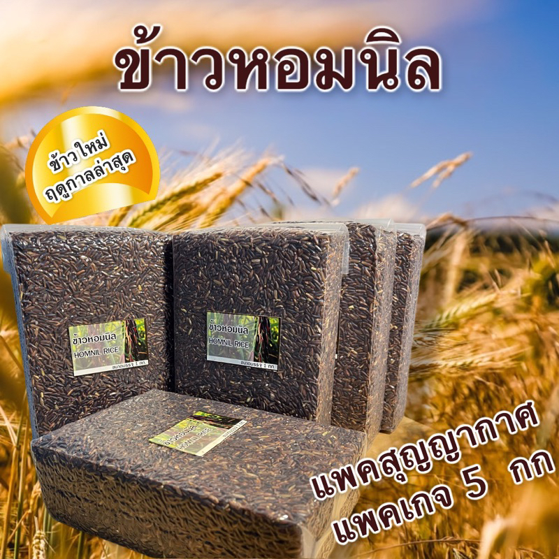 ข้าวกล้อง หอมนิล ชุด 5 กก. แพ็คสุญญากาศ | หอม นุ่ม น้ำตาลต่ำ