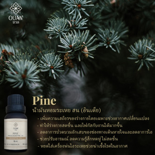 Pure Essential Oil น้ำมันหอมระเหย 100% สน Pine | 15 ml. พร้อมจุกหยดในตัว | อวล