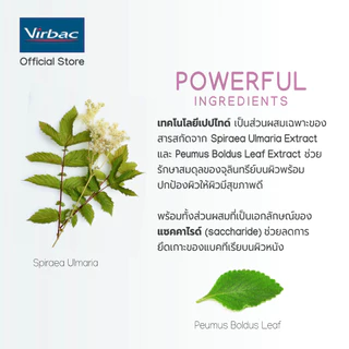 Virbac น้ำยาทำความสะอาดช่องหู อิพิโอติก [EpiOtic® Ear Cleaning - 125ml] สูตรไมเซลลาร์ สำหรับสุนัขและแมว ทุกช่วงวัย