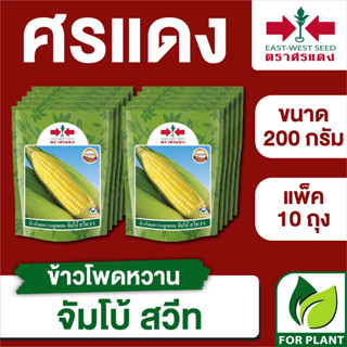 ขายส่ง เมล็ดพันธุ์ ศรแดง BIG ข้าวโพดหวาน จัมโบ้สวีท ขนาด 200 กรัม  (200 กรัม X 10 ถุง)