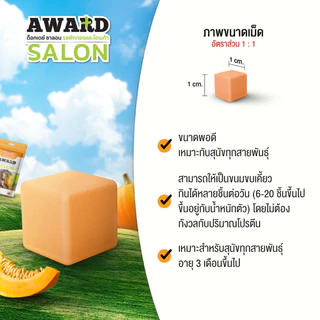 [1 แถม 1] Dog Days Award ขนมทานเล่น สูตรซาลอน (รสฟักทอง ผสมโอเมก้า 3)