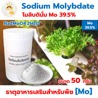 *ส่งด่วน* ธาตุอาหารเสริมสำหรับพืช โซเดียมโมลิบเดต Sodium Molybdate Mo 39.5% โมลิบดินั่ม ไฮโดรโปนิกส์ ขนาด 50 กรัม