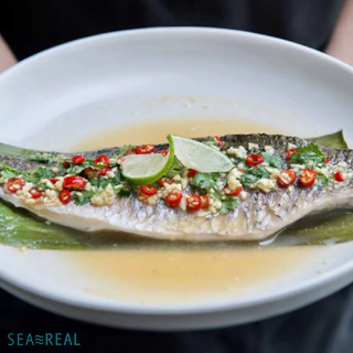 Seareal เนื้อปลากะพงแล่ชิ้นแช่แข็ง 1+ กก. ปลอดกลิ่นดิน | Frozen Seabass Premium 1+ kg