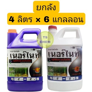 📦ยกลัง📦 เนอร์ไนท์ กลูโฟซิเนตแอมโมเนียม ขนาด 4 ลิตร ตราจิงโจ้ทอง