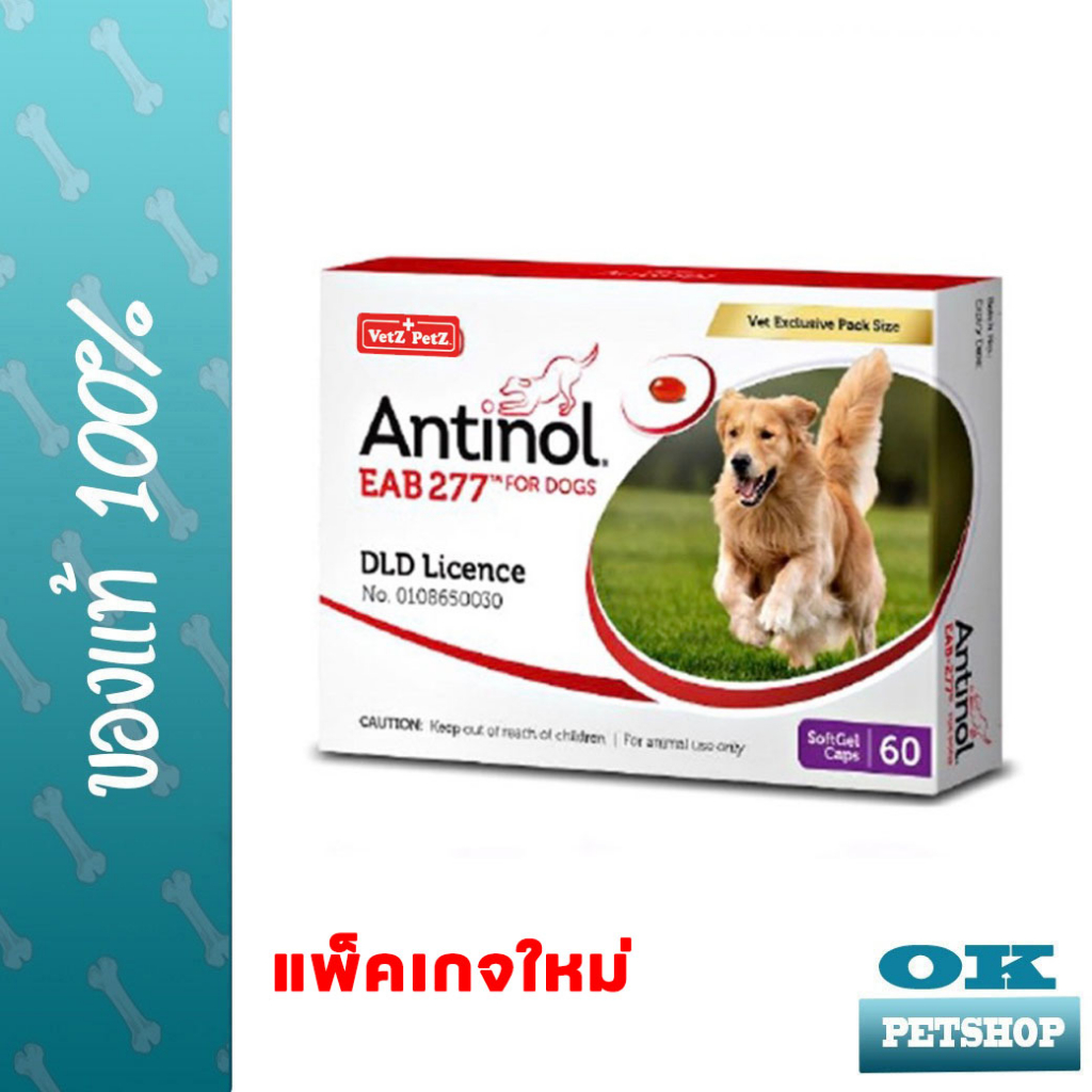 EXP1/26 Antinol สุนัข 60 เม็ด วิตามินบำรงุข้อสำหรับสุนัข