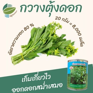 เมล็ดพันธุ์ ผักกาดกวางตุ้งดอก ( Flowering Pokchoy) กระจ้อน