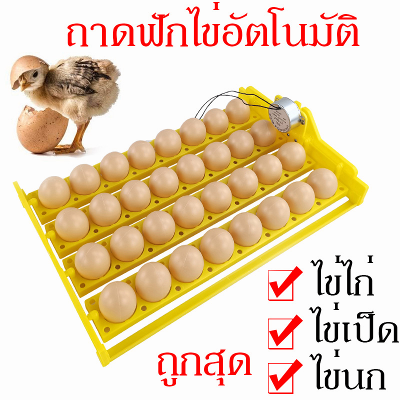 ถาดฟักไข่ อัตโนตู้ฟักไข่  รางฟักไข่ 24/32/48/56/70ฟอง รางฟักไข่ไก่ ไข่นก ถาดฟักไข่ ที่ฟักไข่ ราคาถูกสุด ใช้งานง่าย