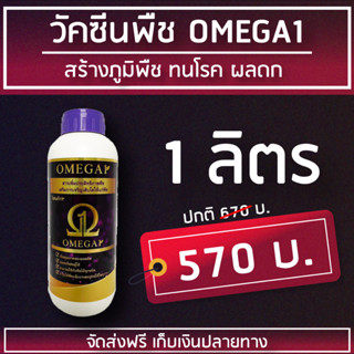 วัคซีนพืช "OMEGA1" นวัตกรรมใหม่ ทำงาน 4 in 1 เสริมภูมิคุ้มกันพืช ทนโรค เพิ่มผลผลิต (1 ลิตร)