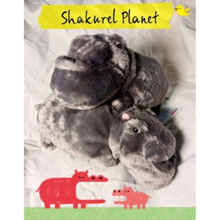 Hippo plush 🦛Shakurel Planet  ตุ๊กตาสัตว์คางทูม สัตว์คางยื่น📏9นิ้ว  ตุ๊กตาฮิปโป