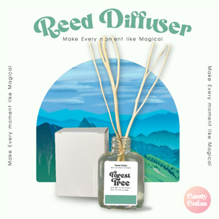 New! Design ก้านไม้หอม (30 ml.) กลิ่น Forest Tree น้ำหอมปรับอากาศ ขนาดเหมาะสำหรับของขวัญ ฟรี! ก้านไม้งา🎄