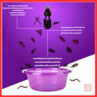 หลอดไฟดักแมลง ล่อแมลง แบล็คไลท์ หลอดไฟล่อแมลง ไฟแสงสีม่วง Black Light 30W