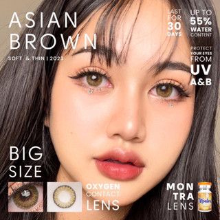 คอนเเทคเลนส์ montra asian brown