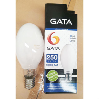 GATA MH250W 5000K COATED E40 10000HRS.