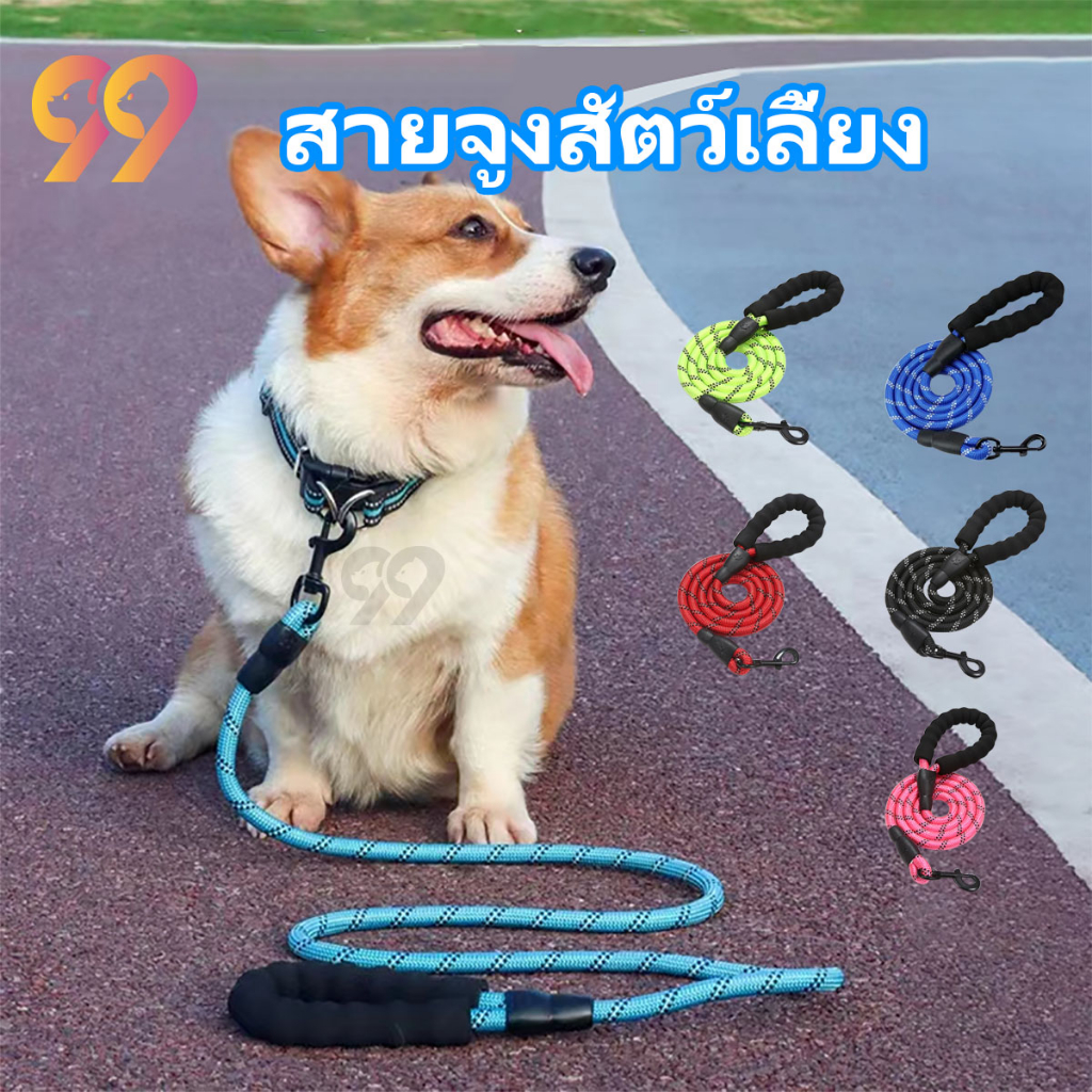 99PET สายจูงสัตว์เลี้ยง สายจูงสุนัข โฟม EVA แบบมีสายสะท้อนแสง คุณภาพดี หลายสี 1.5M