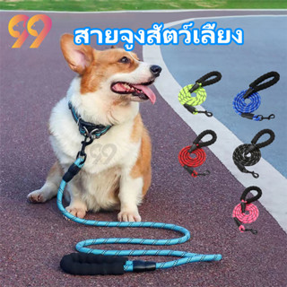 99PET สายจูงสัตว์เลี้ยง สายจูงแมว สายจูงสุนัข โฟม EVA แบบมีสายสะท้อนแสง คุณภาพดี หลายสี สายจูงสุนัข