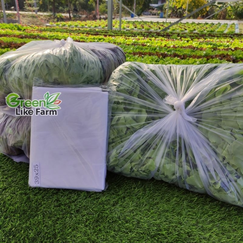 ถุงแพ็คผักสลัด ถุงพับข้างขนาด 25x39 แพ็คละ 1 กิโล ( 36-40 ใบ)