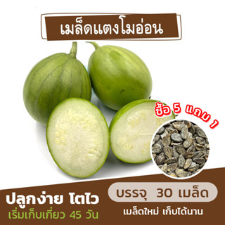 เมล็ดแตงโมอ่อน แบ่งขาย 30 เมล็ด (ซื้อ 5 แถม 1) คละชนิดได้