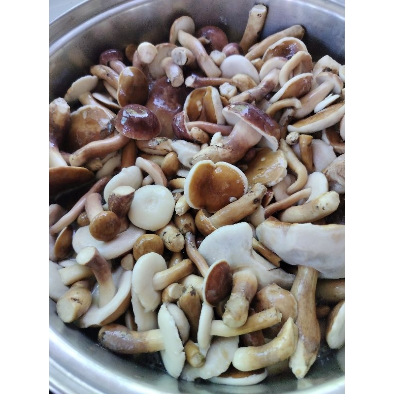 เห็ดผึ้งขมเห็ดยูคาเห็ดเสม็ดต้ม(1kg.)ปี67