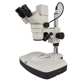 กล้องสเตอริโอสองตาแบบซูมดิจิตอล Motic รุ่น DMW143-FBGG (Digital Binocular Stereo Microscope Motic DMW143-FBGG)