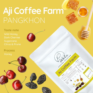 เมล็ดกาแฟคั่ว Aji Coffee Farm - Pangkhon, Honey Process, Light Roast (200g)