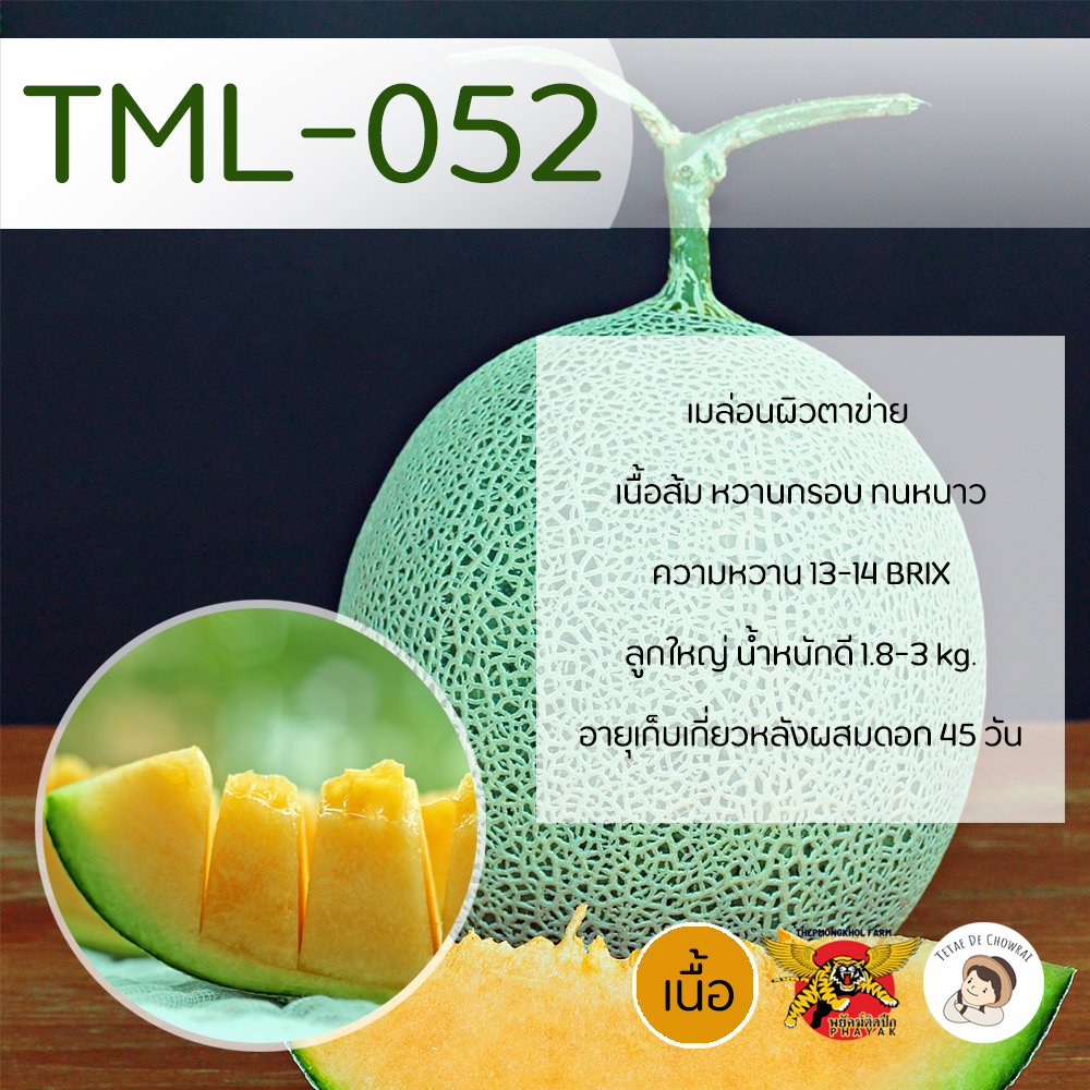 เมล็ดเมล่อนพันธุ์ TML-052 100 เมล็ด ตราพยัคฆ์ติดปีก เทพมงคลเมล็ดพันธุ์