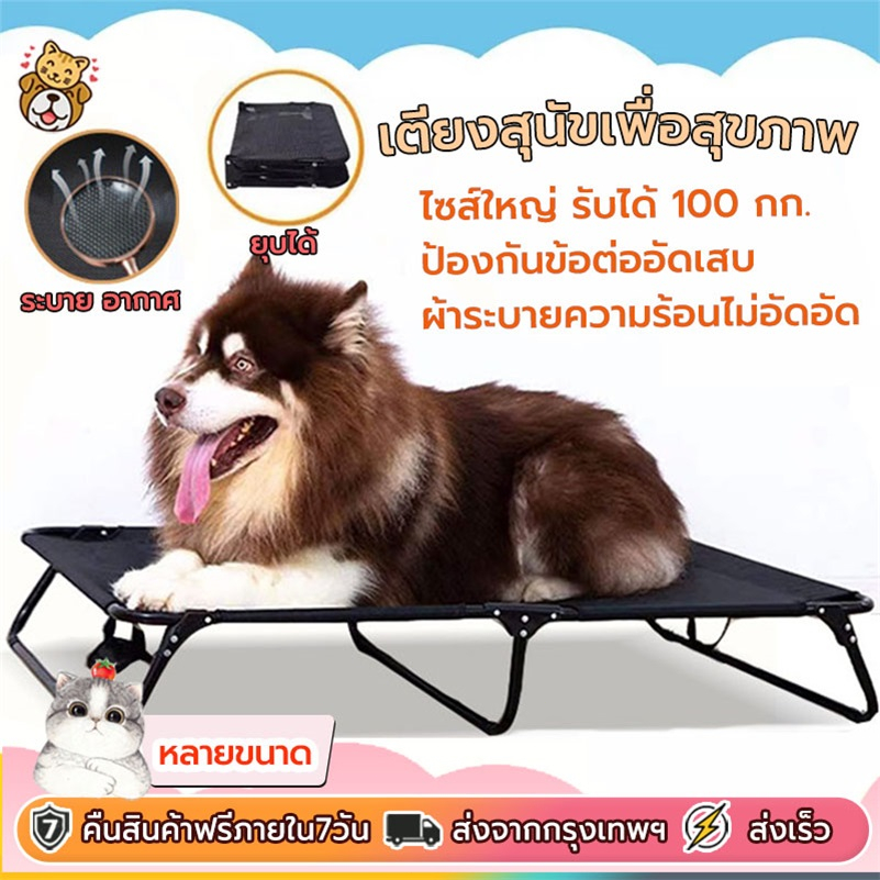 *ส่งด่วน* เตียงสุนัข เตียงนอนสุนัข รับได้150kg ระบายอากาศ  ป้องกันความชื้น รักษาแผลกดทับ โรคผิวหนัง พับเก็บ