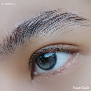 Space Black คอนแทคเลนส์นำเข้า รายปี 390.- มีค่าสายตา