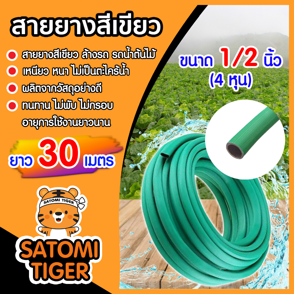 สายยางเขียว ขนาด 1/2 นิ้ว(4หุน) ยาว 30เมตร ใช้รดน้ำต้นไม้ ใช้ล้างรถ สายยางอย่างดี