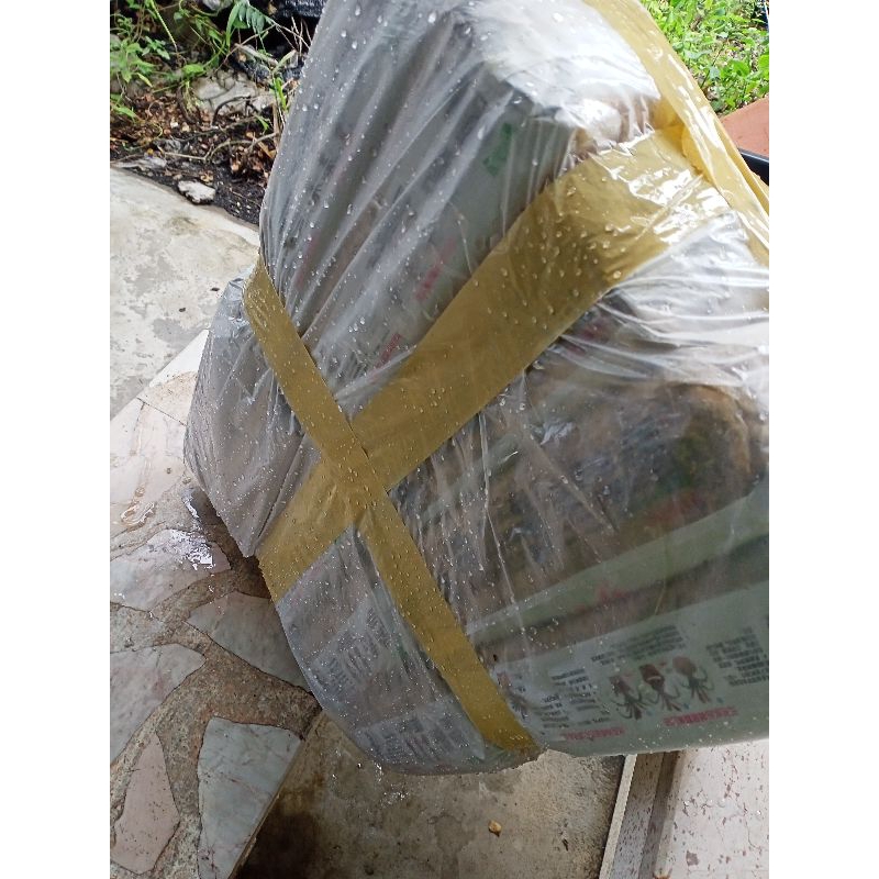 สแฟกนั่มมอส​12Lเซต10ชิ้น630บ. sphagnum moss  พร้อมส่ง - รูปที่ 2