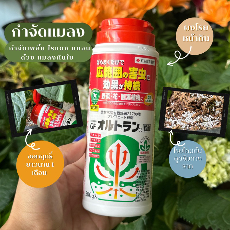 📌พร้อมส่ง📌กำจัดแมลง แบบผงโรย ผงกำจัดแมลง🐛🌱