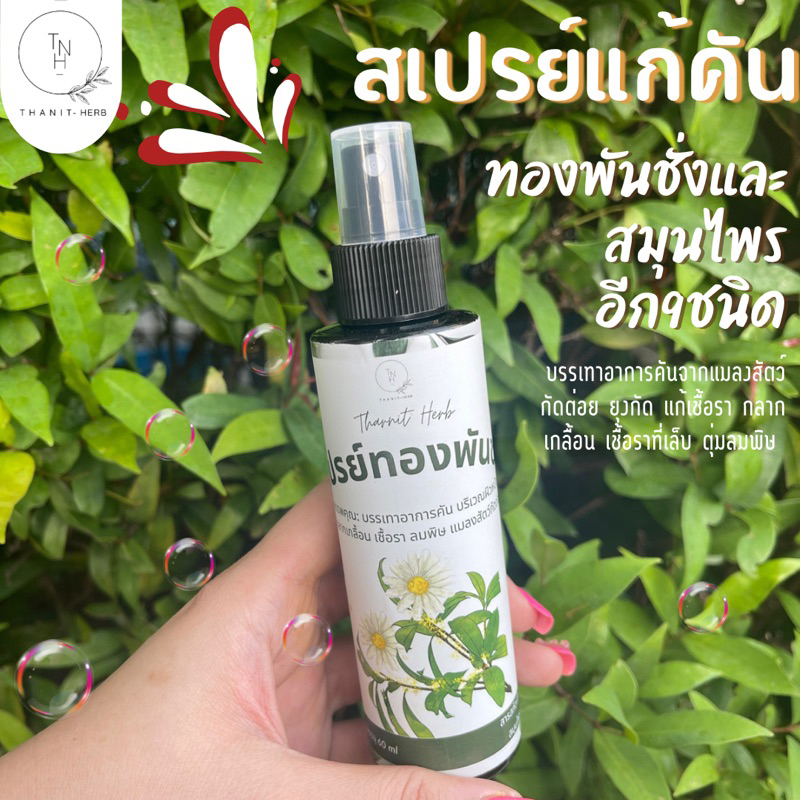 รูปภาพ 6