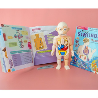 ของเล่นแนววิทยาศาสตร์ #HumanBody 249 บาท แถมหนังสือระบบร่างกายมนุษย์ ระดับประถมมูลค่า 160 บาทฟรี โมเดลจำลองร่างมนุษย์