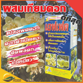 เอฟเฟค 500ซีซี ผสมเทียมดอก แปลงเพศดอก 💯 ผสมเกสรได้ดีแม้ในสภาพอากาศที่แปรปรวน ใช้ได้ดีกับพืชที่ทำนอกฤดู