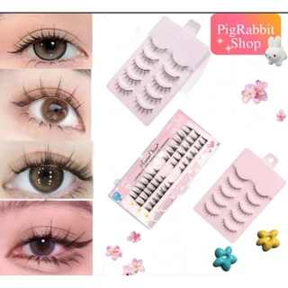 ✨PigRabbitShop ร้านไทย ✨ ขนตาปลอม 3D 5 คู่ ❌ไม่มีกาว❌ ขนตาปลอมธรรมชาติ ขนตาปลอมแบบเป็นช่อ ขนตา ให้ตาคม กลมโตสวยธรรมชาติ
