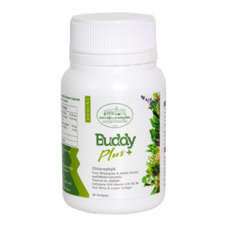 อัลฟาฟ่า บัดดี้ พลัส (Alfalfa Buddy Plus)