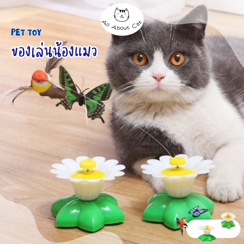 [ ABC cat ] [ ผีเสื้อหมุน ] นกหมุน แบบอัตโนมัติ ของเล่นแมว ของเล่นสัตว์เลี้ยง สอบถามก่อนกดสั่งซื้อทุกครั้ง