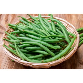 เมล็ดถั่วแขกสำหรับปลูก (Bush bean)ซองละ 29 บาท มี 30 กรัม มีประมาณ 500เมล็ด พืชปลูกง่ายอุดมไปด้วยคุณประโยชน์