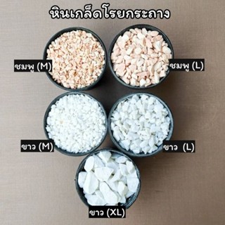 หินโรยสีขาว สีชมพู  หินโรยกระถางต้นไม้ หินตู้ปลา (200g. และ 500g.)