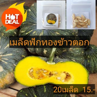 เมล็ดฟักทองลายข้าวตอก20เมล็ด