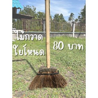 ไม้กวาดใยตาล ไม้กวาดใยตะโหนด ไม้กวาดใยโหนด