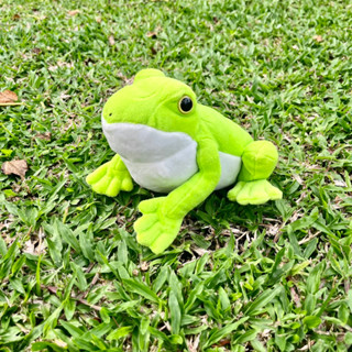 ตุ๊กตากบ กบเขียว กบ กบต้นไม้ตาแดง  Green Tree Frog Red Eye Plush Red Eye Tree Frog Plush Green Stuffed Animal