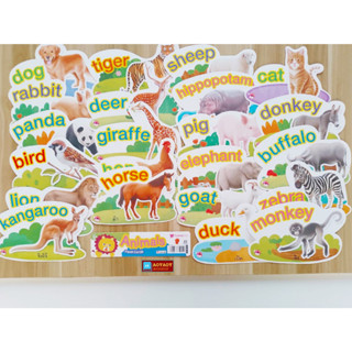 แฟลชการ์ด สัตว์ ไดคัท Flash Card Animals (ใช้ร่วมกับปากกาพูดได้Talking Penได้)