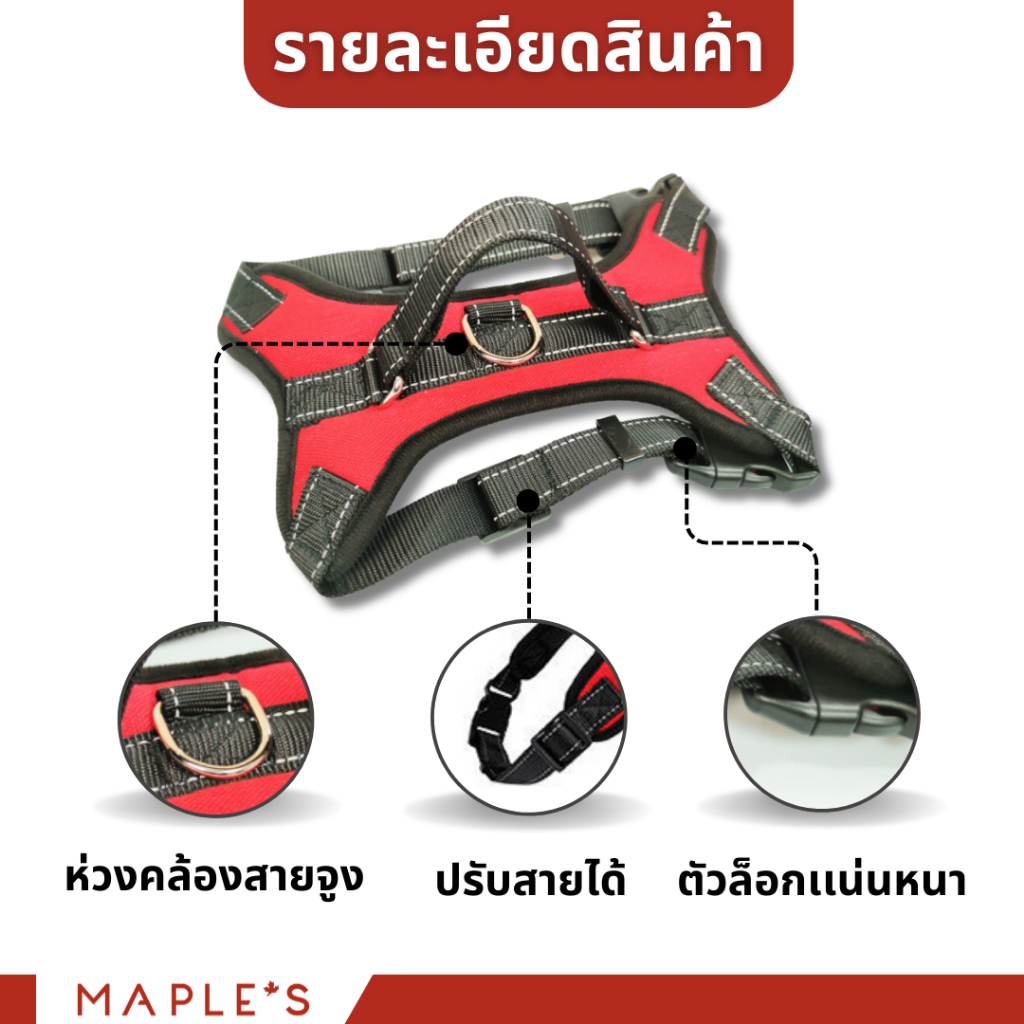 MAPLE'S สายจูงสุนัขยาว3เมตร ที่รัดอก สายจูงสปริงยืดหดได้ สุนัขใหญ่ เเมว Cat leash เชือกจูง จูงเเมว รูปที่ 5
