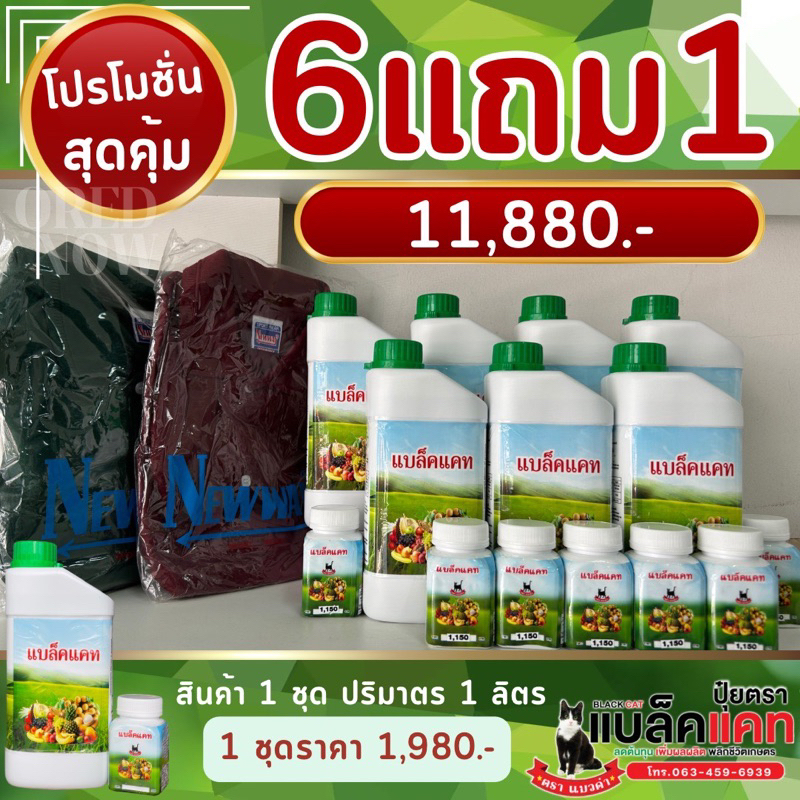 โปรขายดี 6 แถมฟรี 1ชุด (setขายดี )